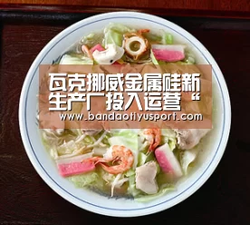 瓦克挪威金属硅新生产厂投入运营“半岛体育app官网”(图2) 半岛体育app官网