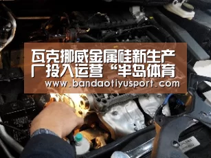 瓦克挪威金属硅新生产厂投入运营“半岛体育app官网”(图3) 半岛体育官网首页