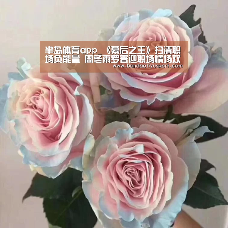 半岛体育app官网