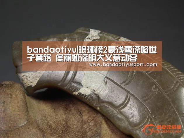 bandaotiyu|琅琊榜2蒙浅雪深陷世子套路 佟丽娅深明大义惹动容(图2) 半岛体育app