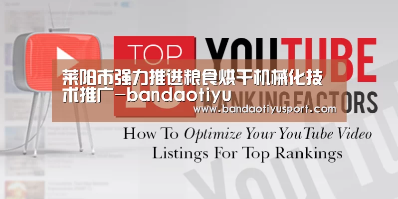 莱阳市强力推进粮食烘干机械化技术推广-bandaotiyu(图3) 莱阳市强力推进粮食烘干机械化技术推广-bandaotiyu(图3)