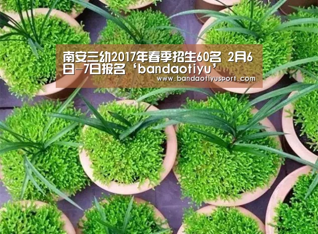 南安三幼2017年春季招生60名 2月6日-7日报名‘bandaotiyu’(图2) 半岛体育官网首页