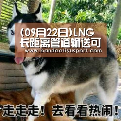 (09月22日)LNG长距离管道输送可行性分析_半岛体育官网首页(图1) (09月22日)LNG长距离管道输送可行性分析_半岛体育官网首页(图1)