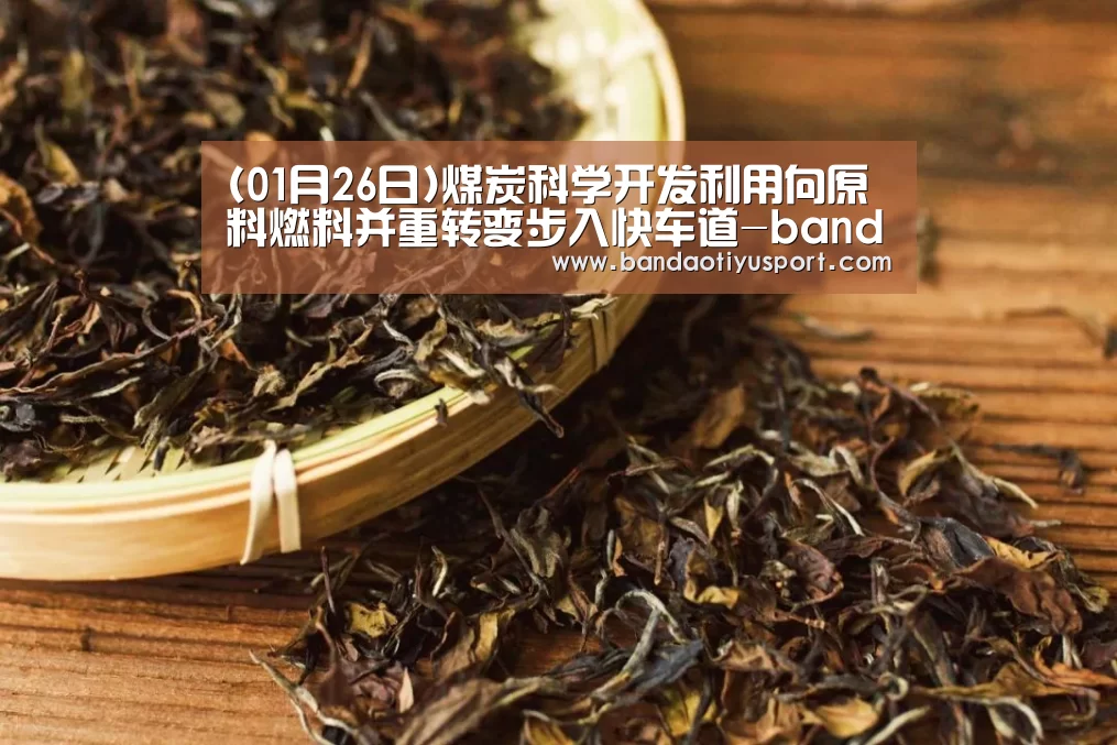 (01月26日)煤炭科学开发利用向原料燃料并重转变步入快车道-bandaotiyu(图1) 半岛体育app