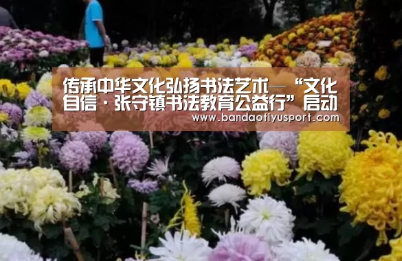 传承中华文化弘扬书法艺术—“文化自信·张守镇书法教育公益行”启动仪式:bandaotiyu(图1) 半岛体育app