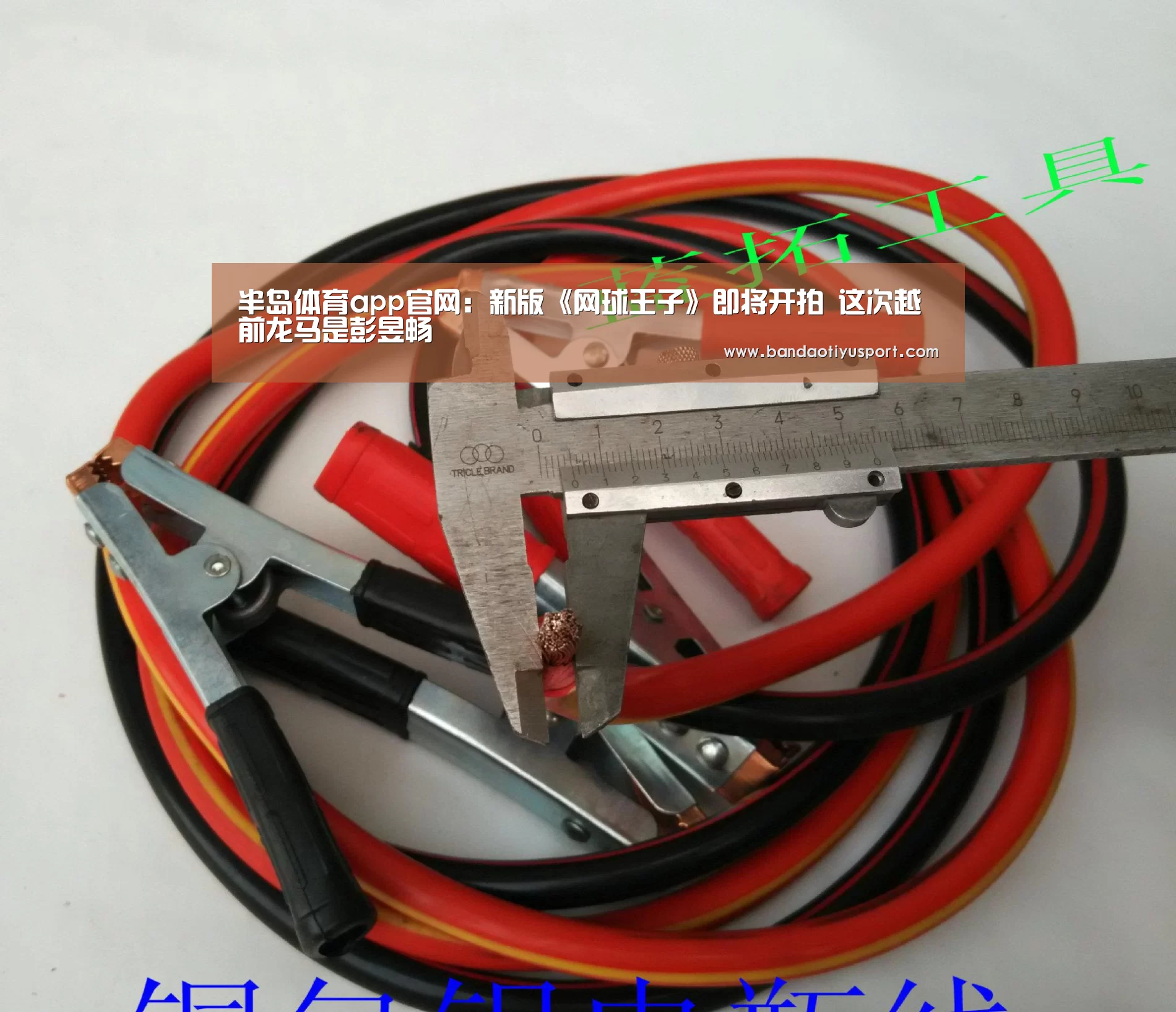 半岛体育app官网：新版《网球王子》即将开拍 这次越前龙马是彭昱畅(图1)